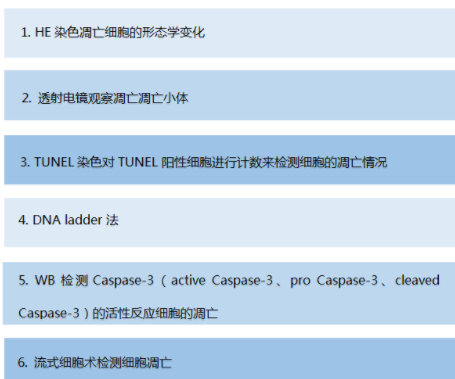 細(xì)胞、組織TUNEL凋亡染色實(shí)驗(yàn)服務(wù)