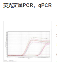 熒光定量PCR，qPCR實(shí)驗(yàn)服務(wù)