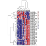 microRNA PCR芯片檢測服務(wù)